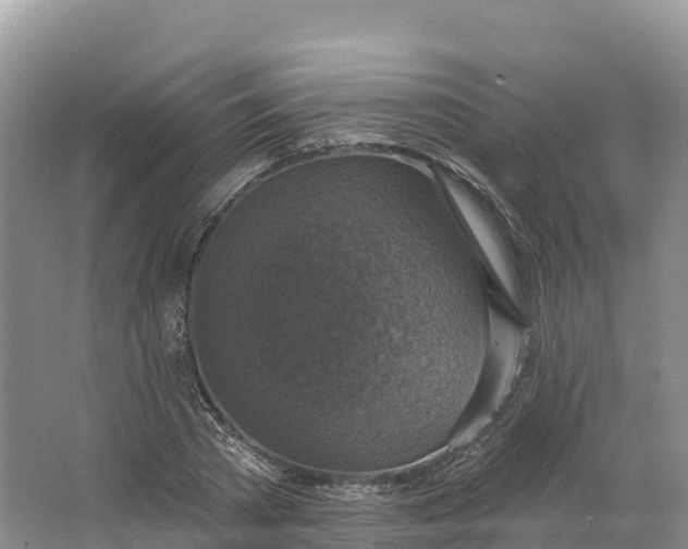 X0000064740785200602241755