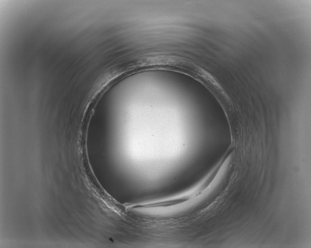 X0000064740786200602241755