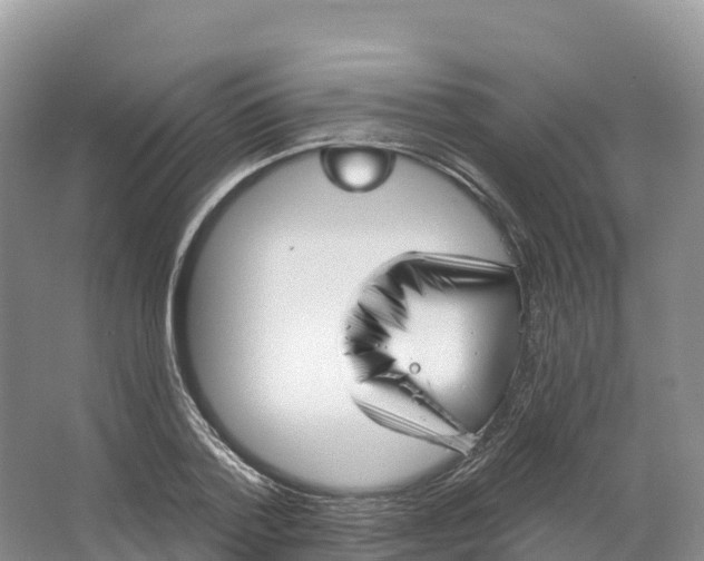 X0000064740788200602241755