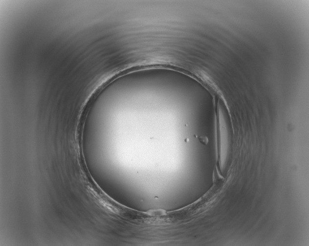 X0000064740789200602241755