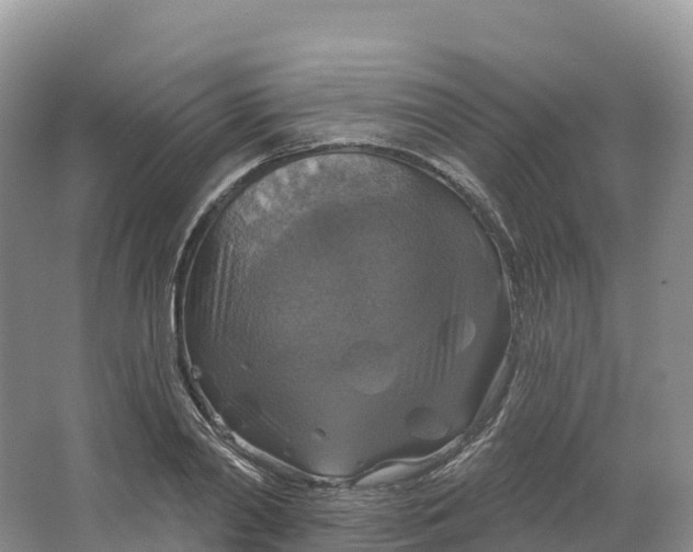 X0000064740790200602241755