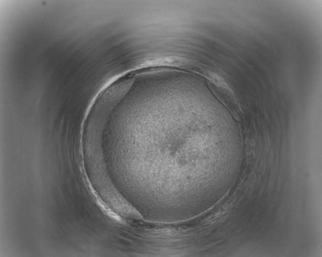 X0000064740792200602241755