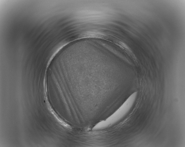 X0000064740796200602241755