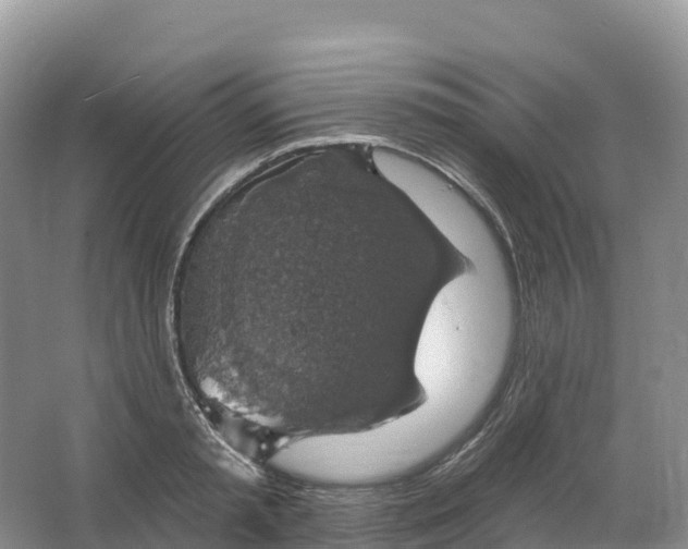 X0000064740797200602241755