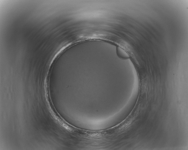 X0000064740798200602241755