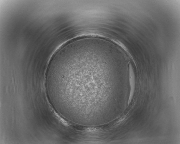 X0000064740799200602241755