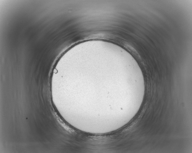 X0000064740800200602241755