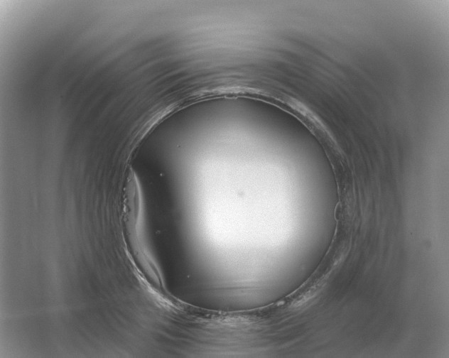 X0000064740801200602241755