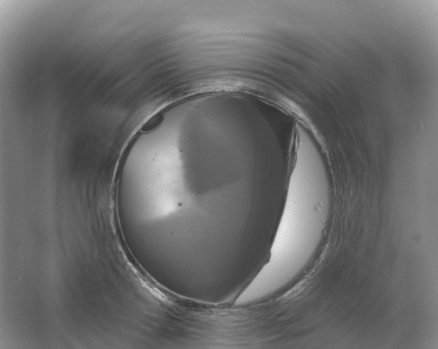 X0000064740802200602241755