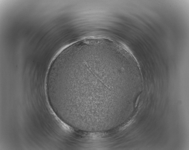 X0000064740803200602241755