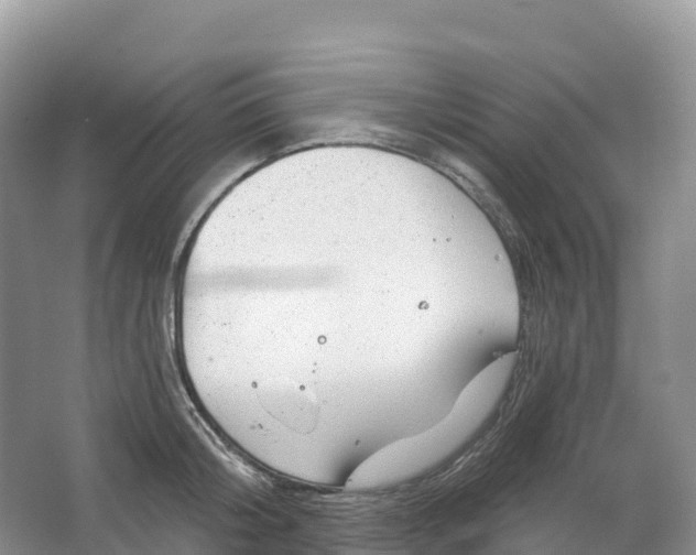 X0000064740804200602241755