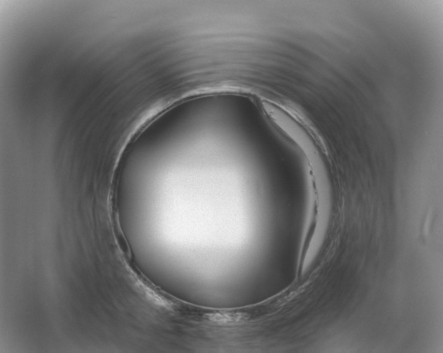 X0000064740805200602241755