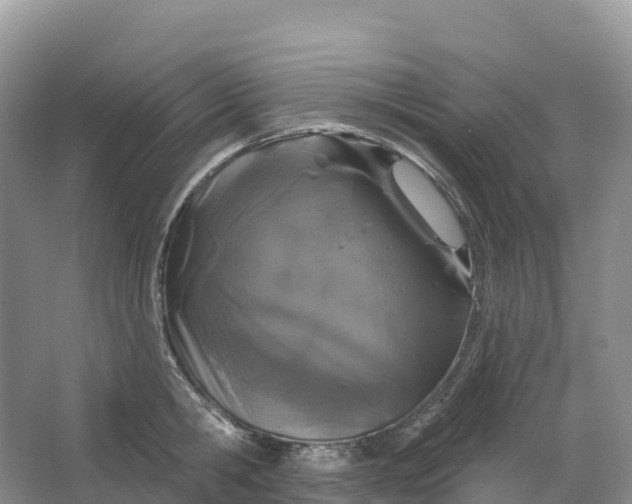 X0000064740806200602241755