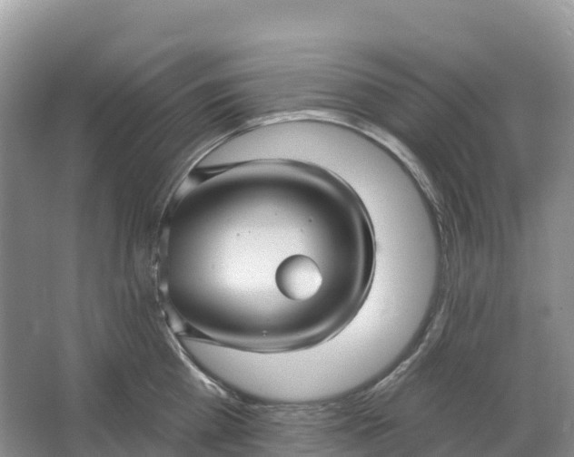 X0000064740809200602241755