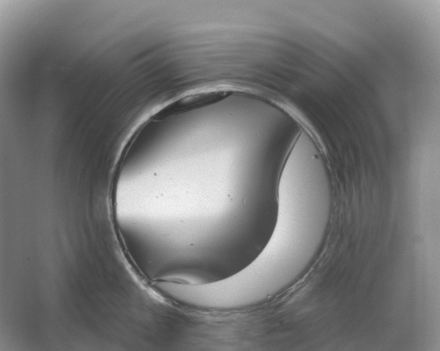 X0000064740813200602241755