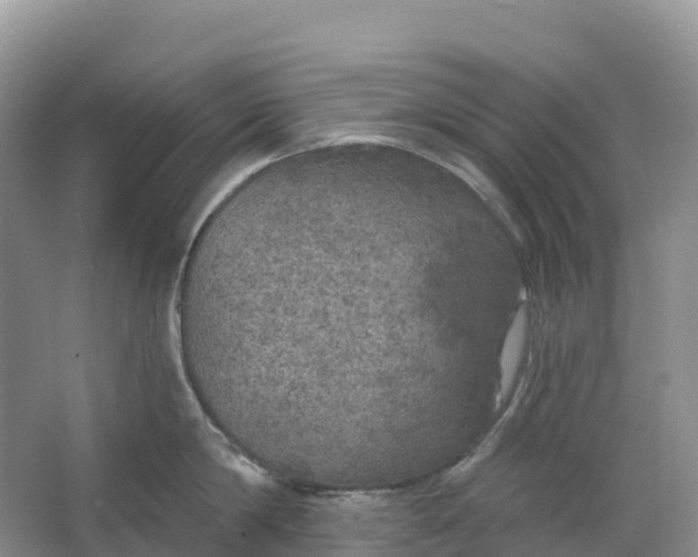 X0000064740814200602241754