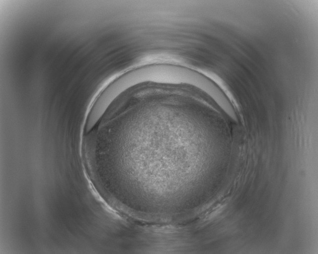 X0000064740815200602241754