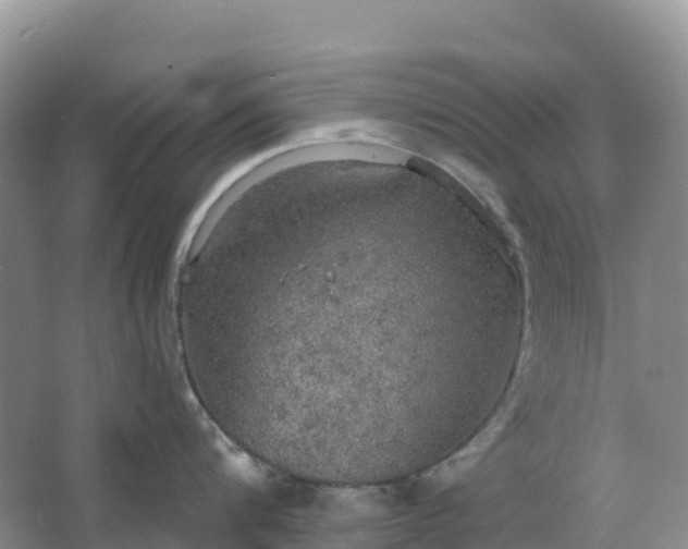 X0000064740816200602241754