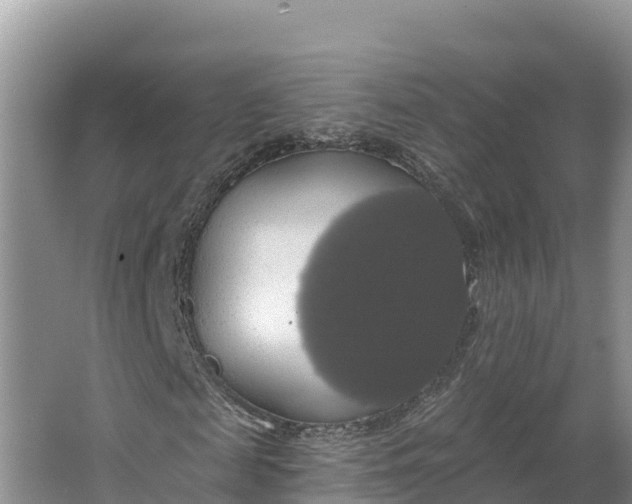 X0000064740817200602241753