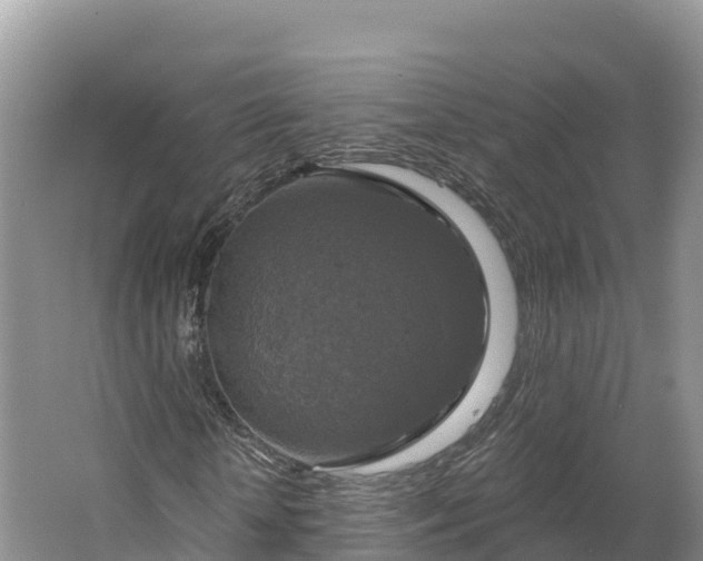 X0000064740818200602241753