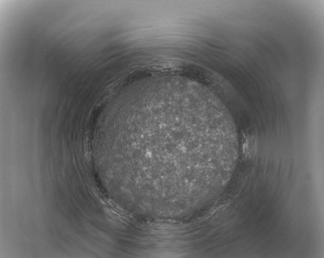 X0000064740819200602241753