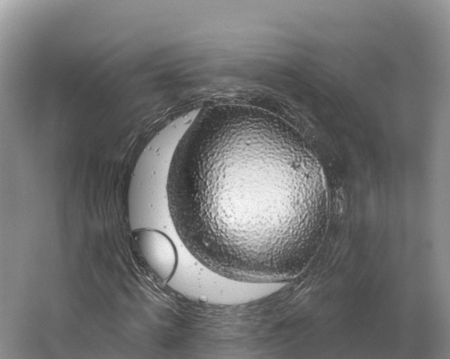 X0000064740820200602241753