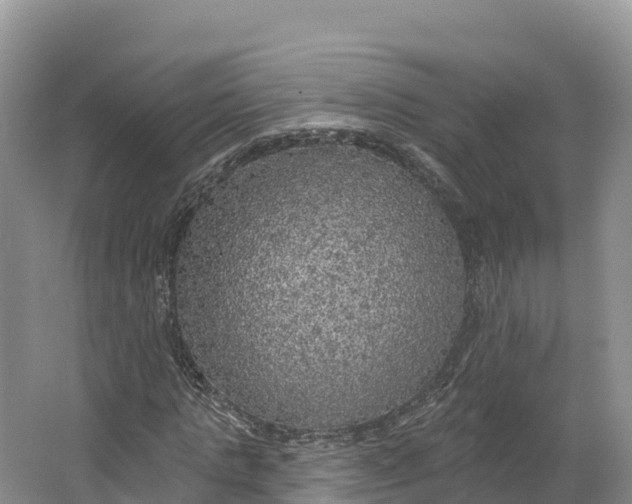 X0000064740821200602241753