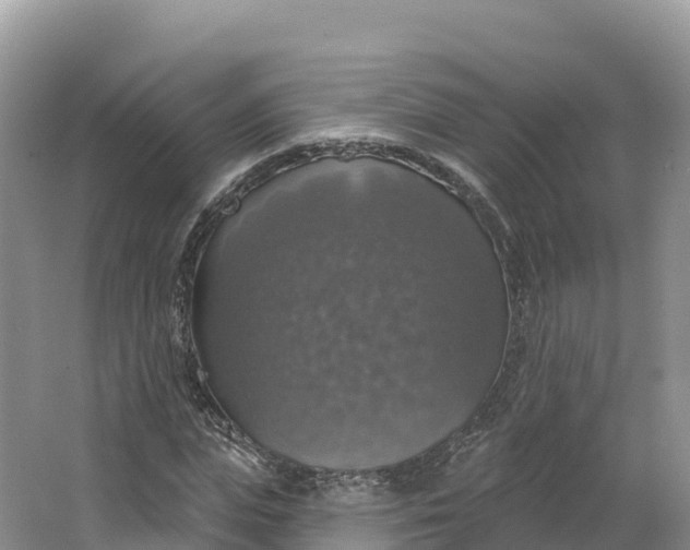 X0000064740823200602241753