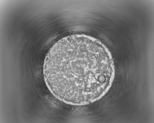 X0000064740824200602241753