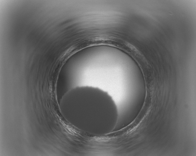 X0000064740825200602241753