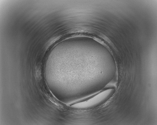 X0000064740826200602241753