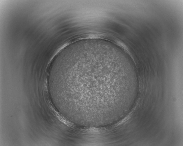 X0000064740827200602241753