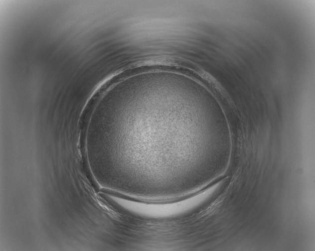 X0000064740830200602241754