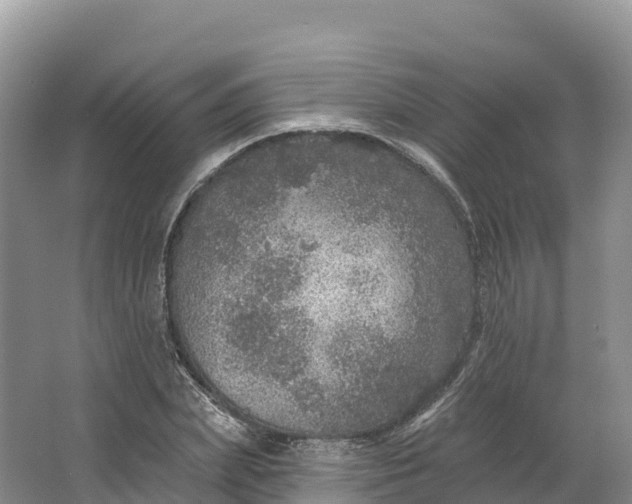 X0000064740831200602241754