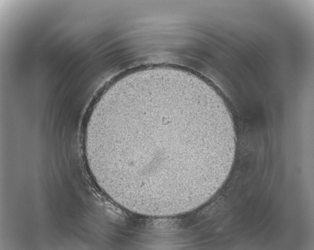 X0000064740832200602241754