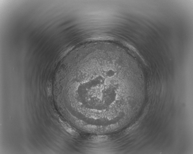 X0000064740833200602241754