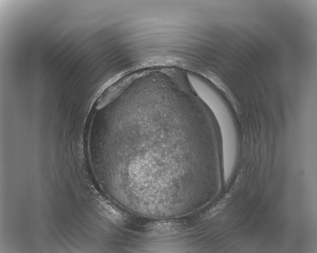 X0000064740834200602241754