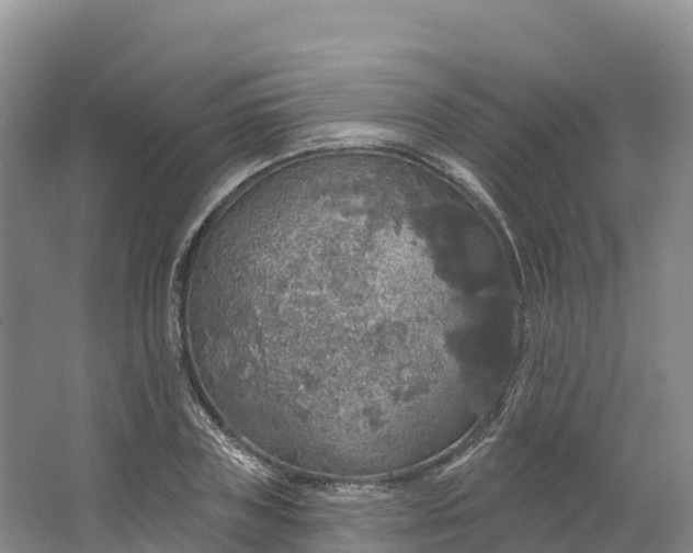 X0000064740835200602241754