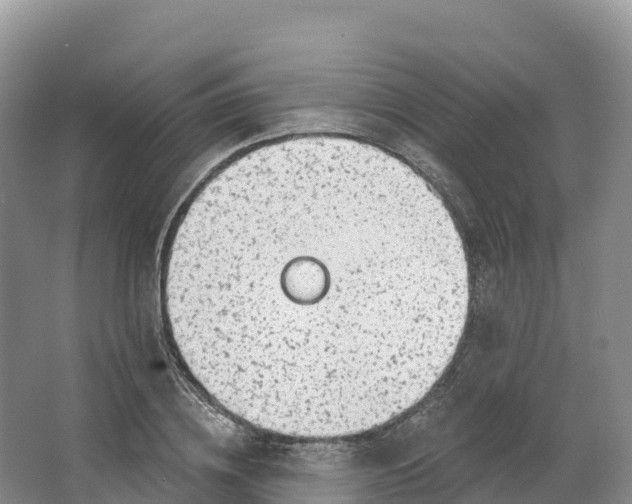 X0000064740836200602241754