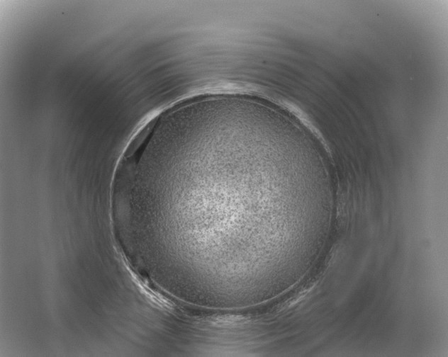 X0000064740837200602241754