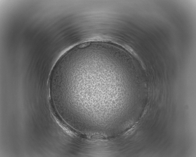 X0000064740838200602241754