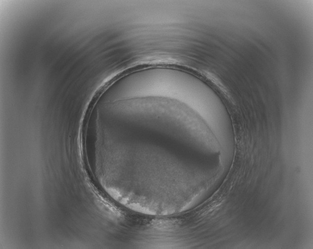 X0000064740840200602241754