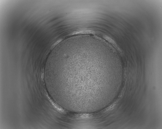 X0000064740841200602241754