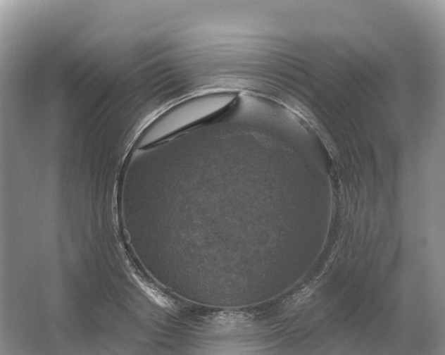 X0000064740842200602241754