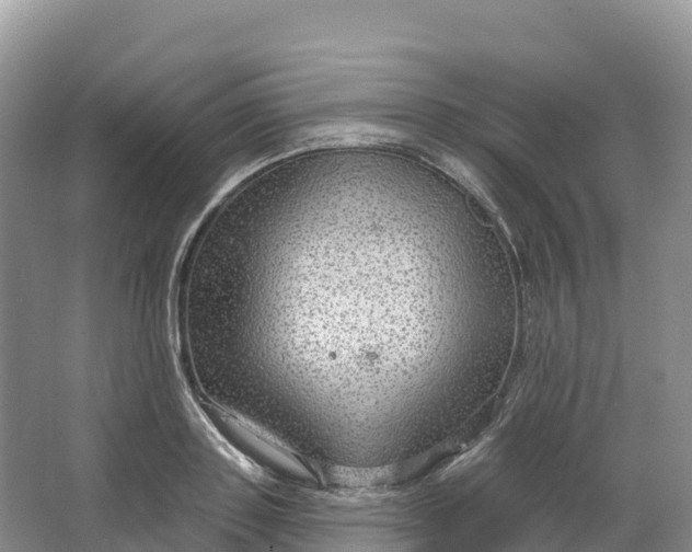 X0000064740843200602241754