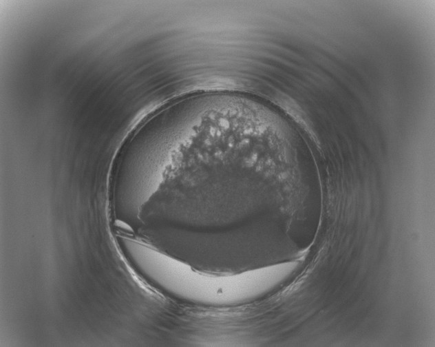 X0000064740845200602241754