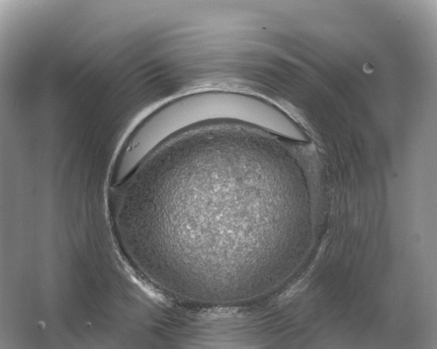 X0000064740846200602241754