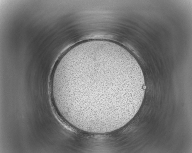 X0000064740848200602241754