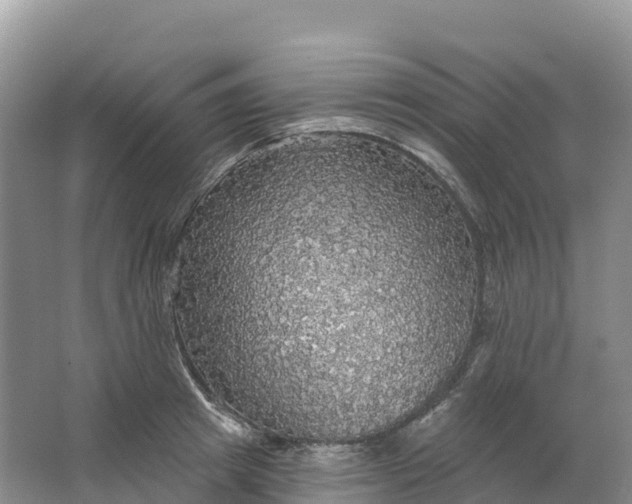 X0000064740849200602241754