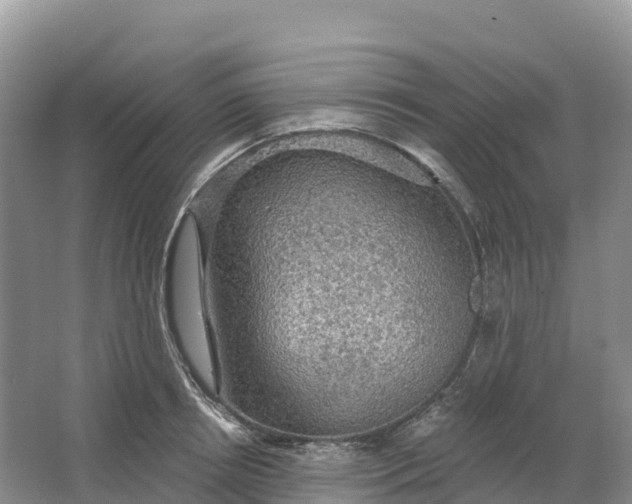 X0000064740850200602241754